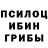 Галлюциногенные грибы Psilocybine cubensis Gupo Servagio