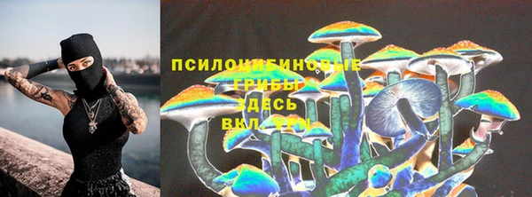 таблы Алзамай